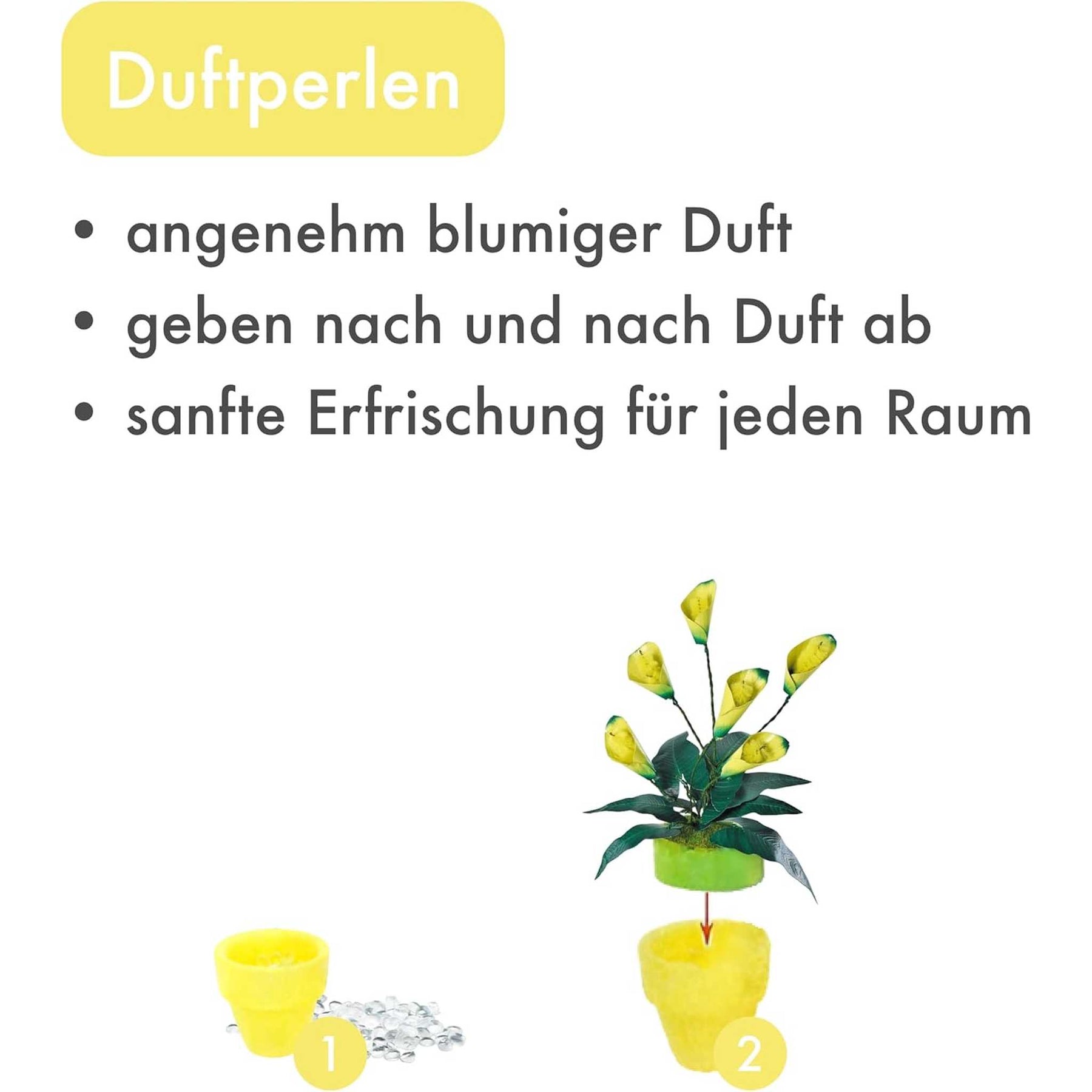 K20809 - Calla Lilien (Iron Star)