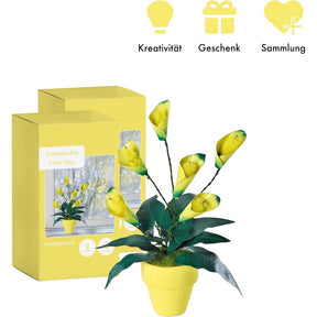 K20809 - Calla Lilien (Iron Star)