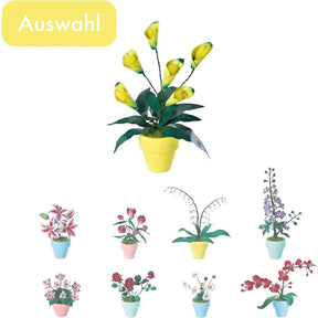 K20809 - Calla Lilien (Iron Star)