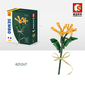 601247 - Clivia Blume (Sembo)